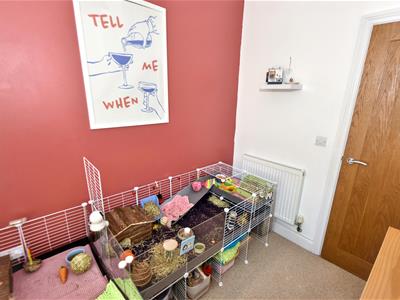 Picture 12